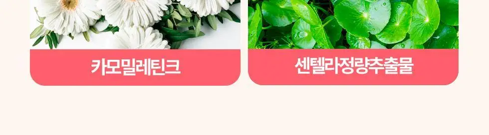 [NEW] 동국제약 윈플렉스 잇몸치약 핑크 100g 상세페이지 9